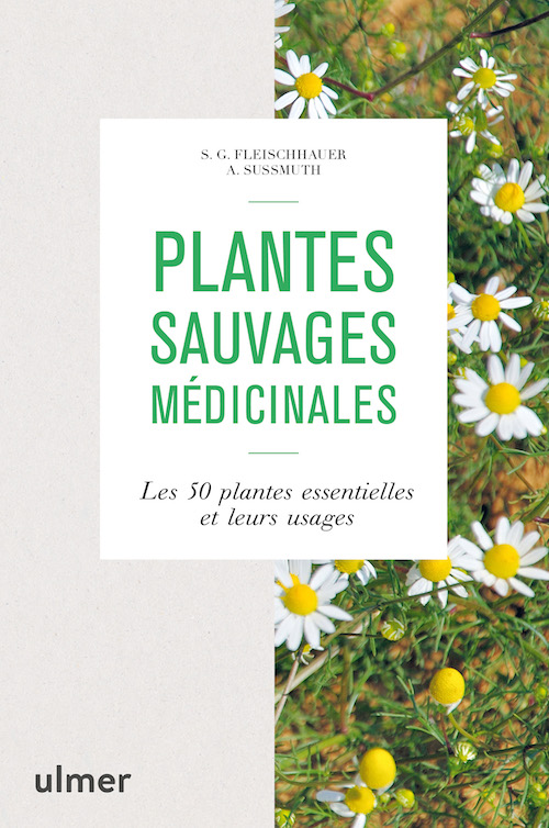 Comment choisir les pots des orchidées ? Journal des éditions Ulmer