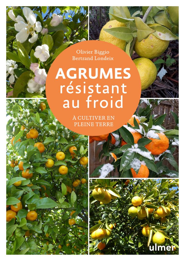 agrumes resistant au froid couv